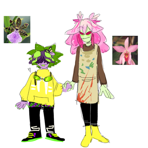 2o8: 2 more random orchid florans, this time theyre girlfriends scene butch zygopetalum floran and t