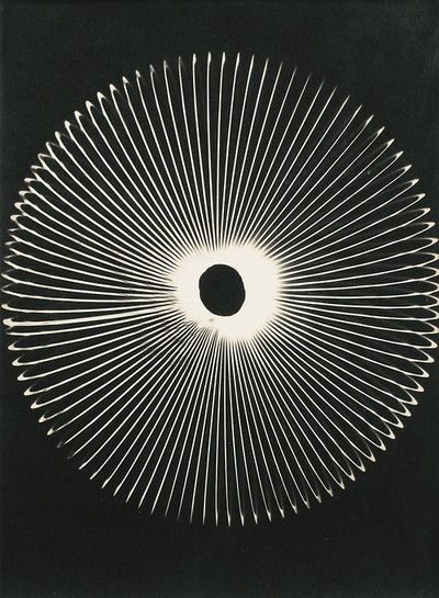 ikebanaart:Man Ray | Untitled rayograph (1959)