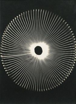 bed0fna1ls:  Man Ray. Untitled Rayogram. 1959. 