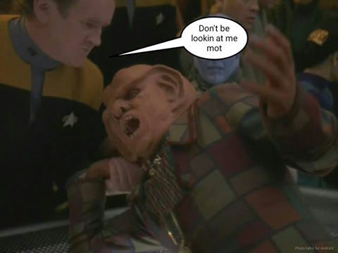   Roddy Doyle’s Star Trek adult photos