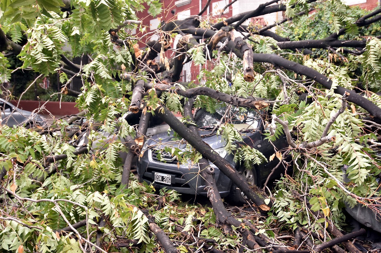 TEMPORAL. La intensa tormenta de viento y lluvia que esta madrugada afectó a la Ciudad de Buenos Aires dejó al menos 47 árboles caídos en distintos barrios de la Ciudad. Un auto cayó al Riachuelo y la Prefectura buscaba esta mañana sobrevivientes....