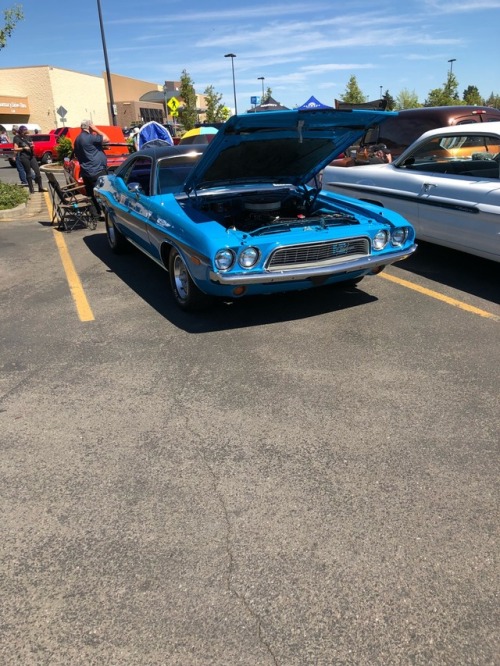 123rd annual Irrigation Festival parade this morning and then a car show after , Freya enjoyed all the people