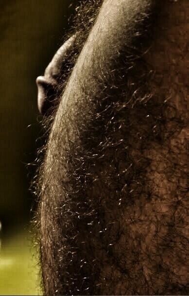 barebearx:  ~~~PLEASE FOLLOW ME ** 😊😊😊🐼 ♂♂OVER 41,000   FOLLOWERS   (Thank You)   ~~~~~~http://barebearx.tumblr.com/ **for HAIRY men & SEXY men**http://manpiss.tumblr.com/ **for MANPISS FUN **                 