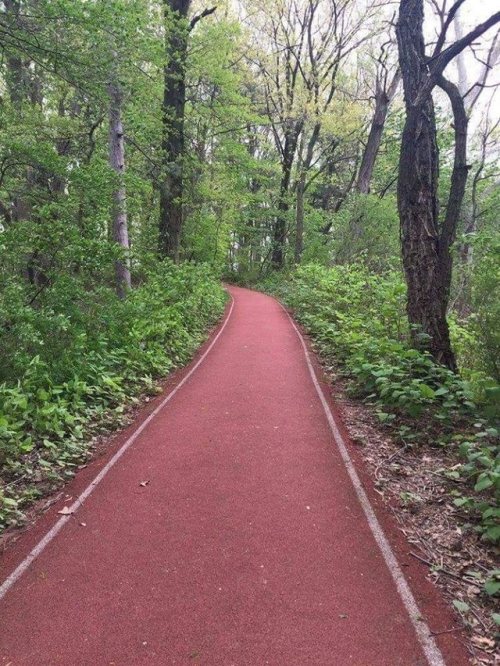 The Runner's Club
