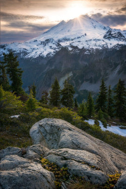 90377:  Setting Sun, Mt Baker    by Jon Dobyns