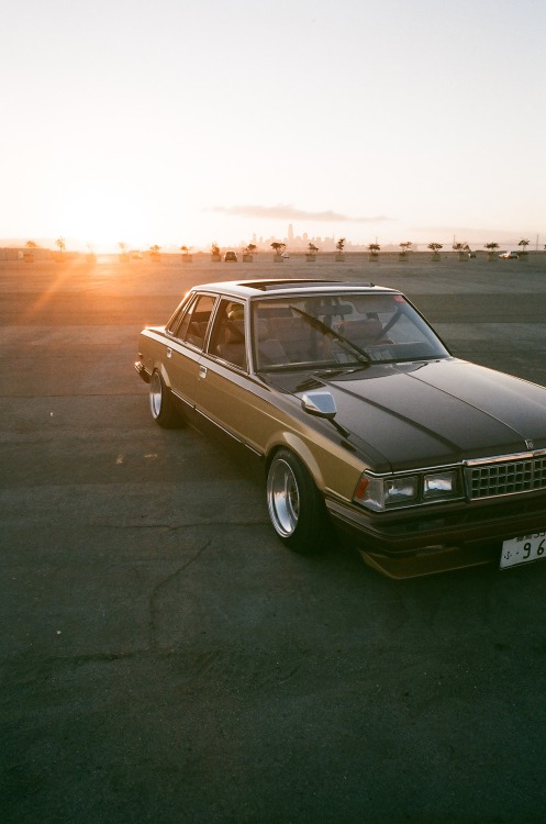 Cressida golden hour - Ricoh GR1 Kodak Ektar100