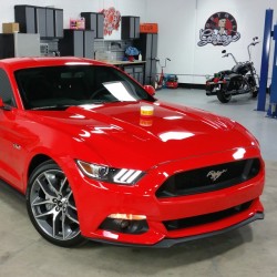 chemicalguys:  Needed a better set of sunglasses just looking at the insane shine coming off of this stunning 2015 Mustang GT topped with E-Zyme Paste Wax. Wow just wow. #mustang #mustangt #ford_mustang_legacy #fordie #fordsofinstagram #ford #chemicalguys