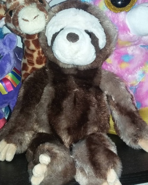 My newest friend, Squiggles the Sloth, a gift from Jake (@hethkar ) on Tuesday while we browsed in t