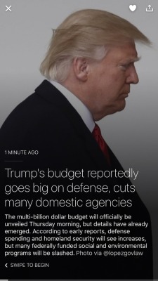 odinsblog:  Trump is slashing funding to public education, social safety net and domestic programs, but adding to the largest military budget in the world. And the increased funding to Homeland Security and the Veterans Administration is quietly being