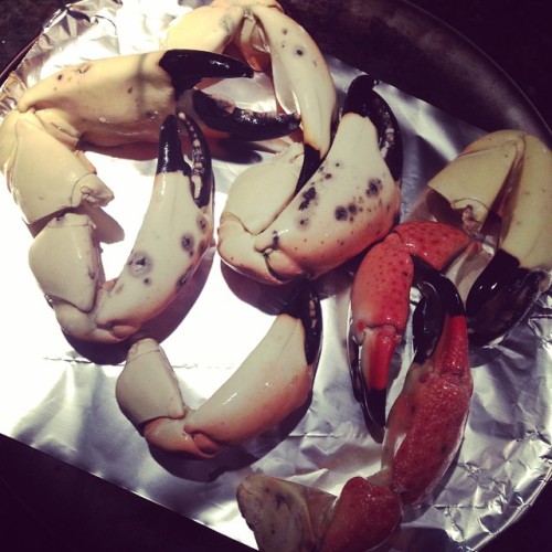 Crab claws for dinner, courtesy of my dad!