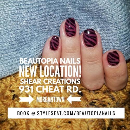 New location! I’ve got a great new space at Shear Creations in Morgantown! Book at the link in