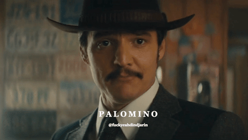 I Palomino