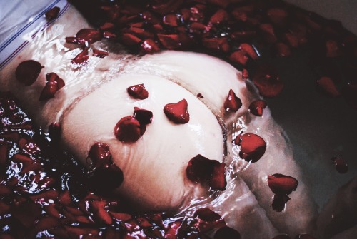 rhijpg:  garbageshepard:  814stops:  here’s a little preview of the American Beauty themed SG 