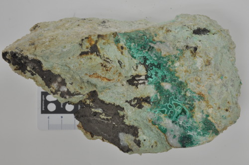 mineralsandsomerocks: Malachite and Chalcocite in MatrixLocality: Safford Mine, Arizona