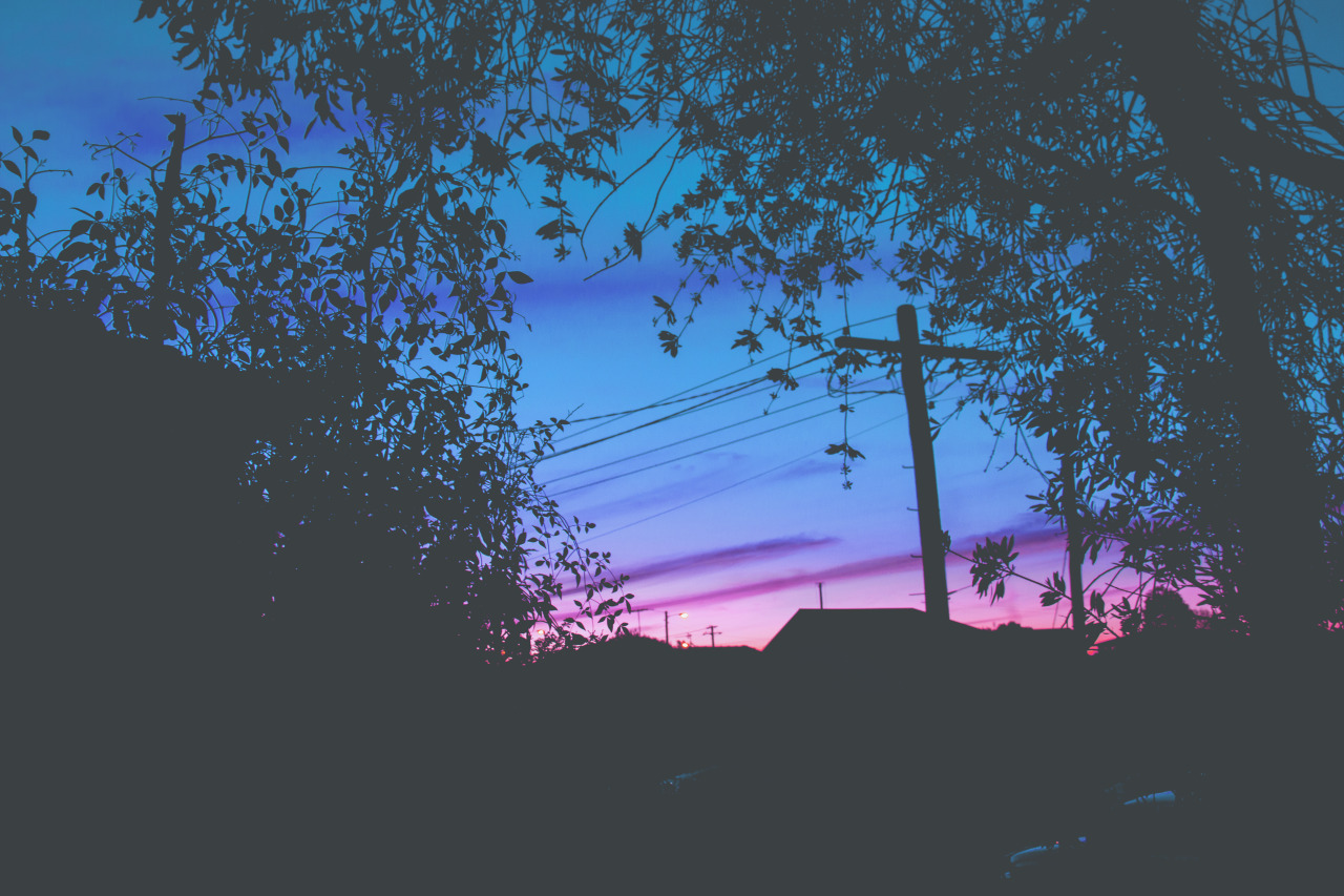 neckgrief:  Winter, AustraliaMy Instagram