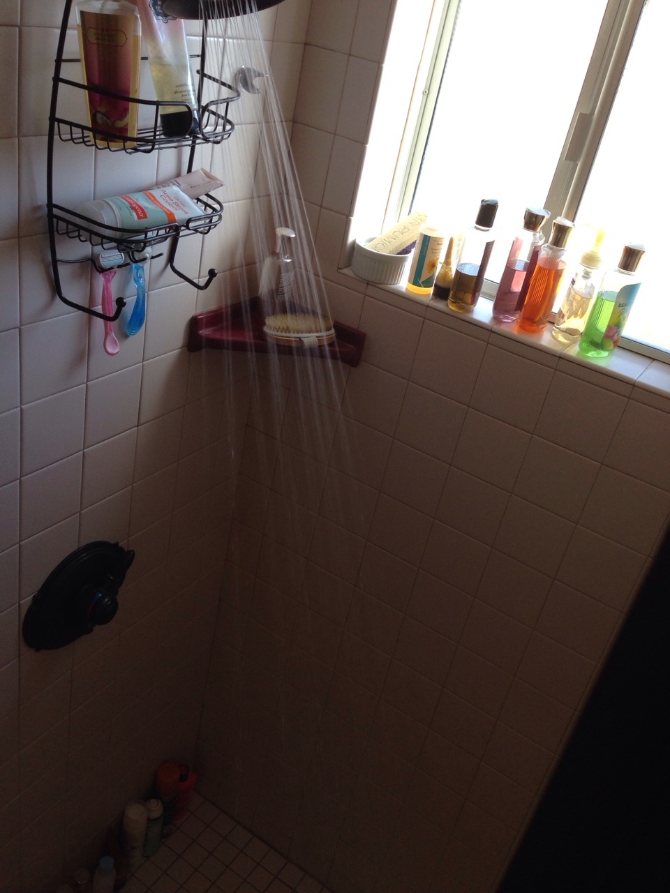 calibigirl:  Shower time! Wish I had someone to join me! Reblog/Like if it should
