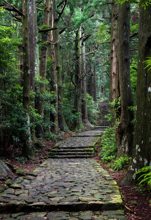 thekimonogallery:  1512px:  © | Hisanori (Do not remove credits)  Old pathway in Japanese forest