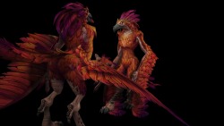 Ooh i haven’t seen this image before.Surprisingly - very surprisingly considering this is me talking, i’ve never actually seen an arakkoa’s butt&hellip; since they’re clothed in game and i don’t know how to get the model viewer to display them