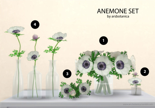 Anemone SetDropbox download:Anemone Glass Vase (836 LOD0)Anemone Bud Vase (594 LOD0)Anemone Stems (7