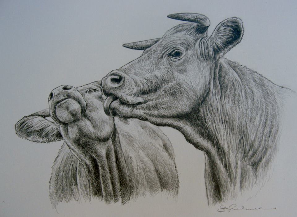 uaeveggies:  Check out this powerful artwork by Jo Frederiks and like her page while