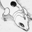 jiokunomon