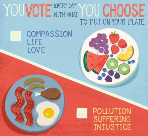 You vote every day with what you choose to put in your plate. What will you choose?#veganfortheanima