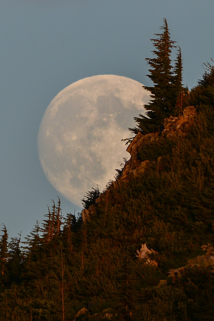 d-vn:  Moonrise (by CraigGoodwin2) 
