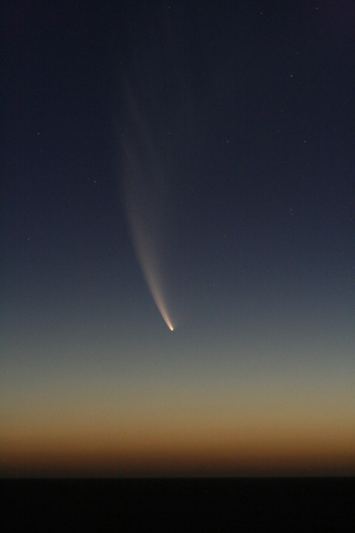 Comet McNaught.