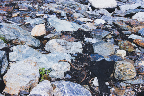 thenorwegiancurator:Trip to Tungenes Lighthouse // Summer 2020