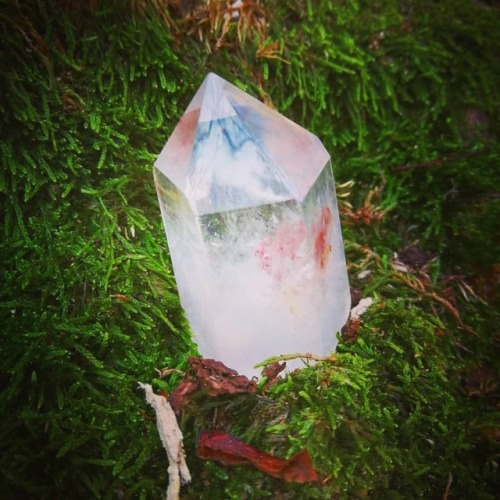 #healingcrystals #clearquartz #tibetanquartz #inthewoods #enchanted #woodland #forest #magical #crys