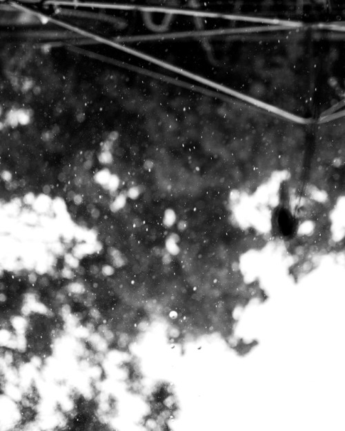 Rain Makes Everything More Beautiful