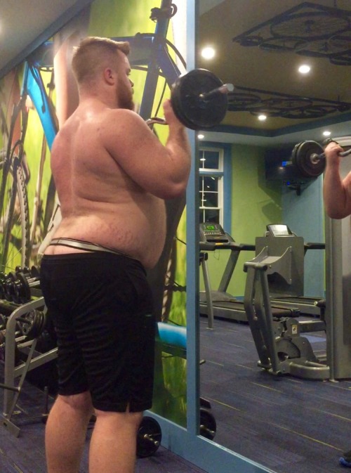 marbledbeef: New equipment at the gym makes for a happy pup