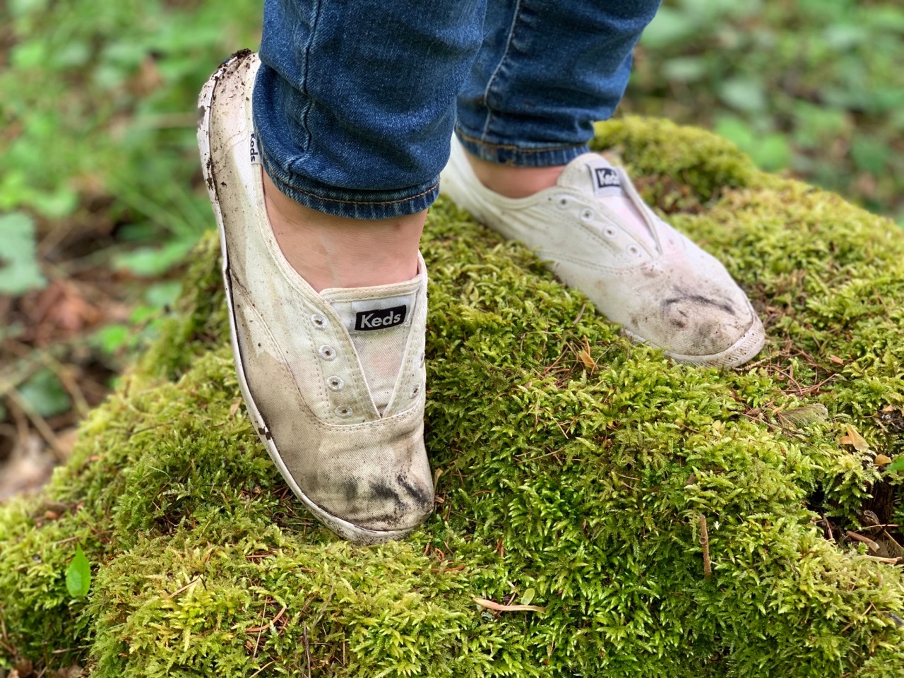 wet keds sneakers