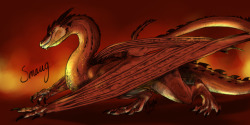 captainforacause:  It’d coloured!  Smaug the Magnificent