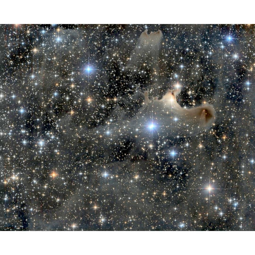 Haunting the Cepheus Flare #nasa #apod #constellation #cepheus #cosmicdust #dust