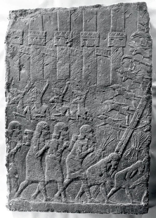 “Their men, young and old, I took as prisoners. Of some I cut off the feet and hands; of other