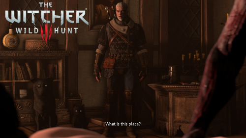 Porn photo shittyhorsey:  The Witcher 3: Scenes from