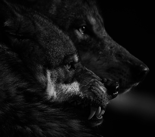 depal:  (via TumbleOn) 