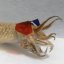 cuttlecology