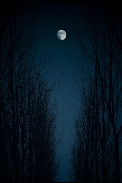  Moonlight By una cierta mirada  