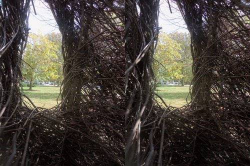  Cross your eyes a little to see these photos in full 3D. (How to view stereograms) 