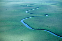 antiopia:   	Botswana-Okavango Delta (April,