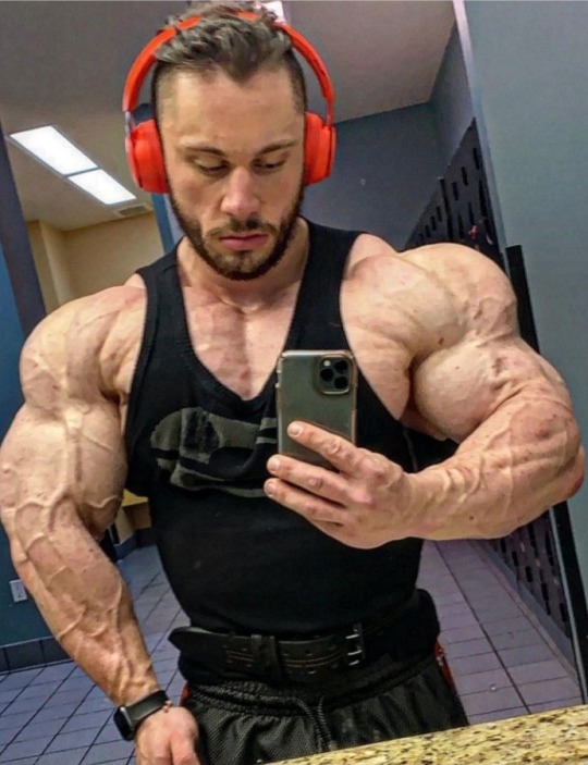 Gym Musky Bodybuilder On Tumblr