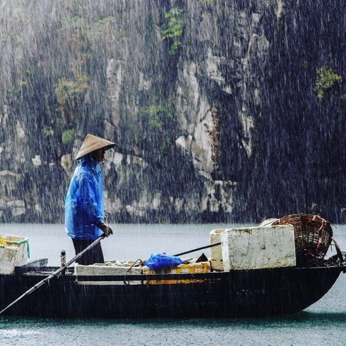 Have you ever seen raining in #Halongbay ##VietnamTag #Legendtravelgroup #travelvietnam #vietnamtrav