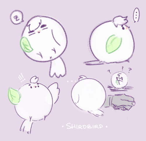 a collection of shirobirds. owlkuro –&gt; @skdaks2 &lt;3&lt;3&lt;3  i couldve sworn i had more&helli