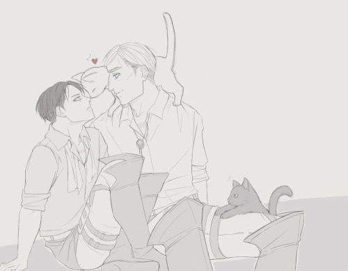 attackondrawing:in which cats recognise levi as one of their own
