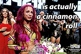 gunsandambroses:  The women of NXT. 