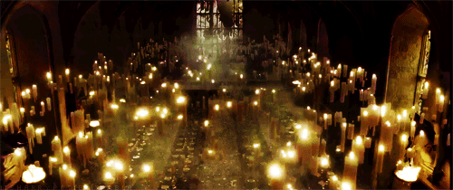 Gifs. All Kinds. Daily.