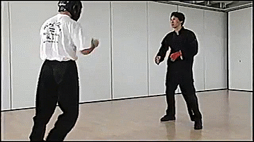 taichi-kungfu-online:  Wonderful self-defense moments!! 