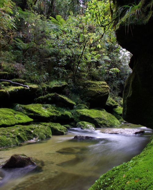 Porn photo 90377: Cave Creek, Paparoa National Park,